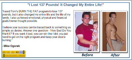 diagram 2 BFFM User Testimonial Burn the Fat, Feed the Muscle by Tom Venuto: Does It Really Work?